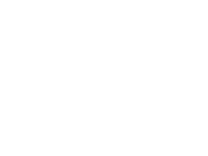 S&S Cycle